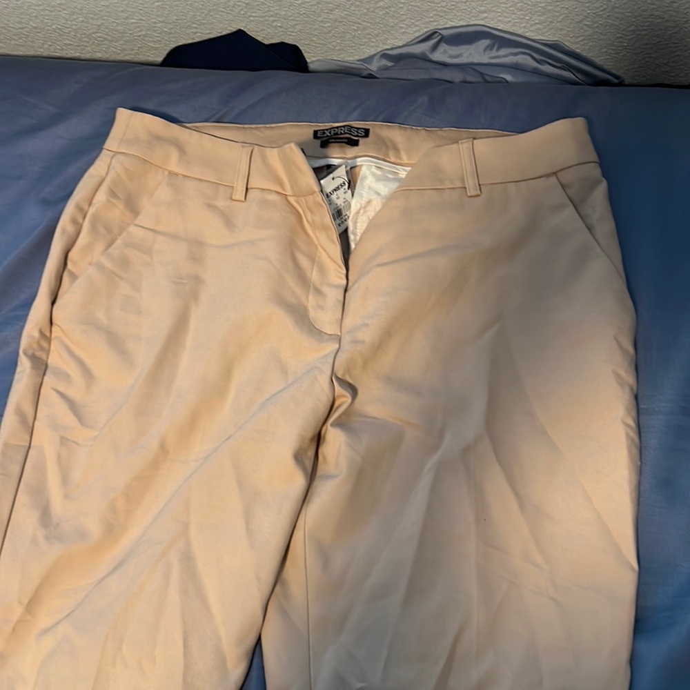 Express Columnist Womens Pants